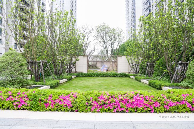 kaiyun：2025中企云萃森林售楼处电话中企云萃森林地址能买么维权事件(图16)