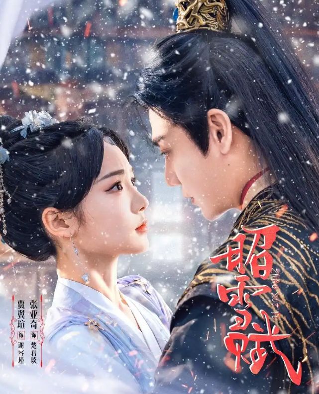 精彩后续《昭雪赋》61集完整版(图1)