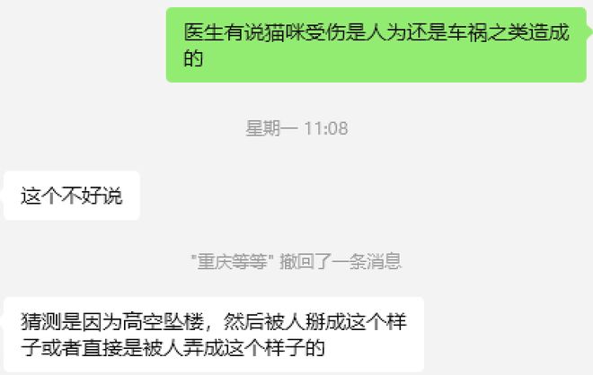 kaiyun入口：太造孽了！网上刷到一只奇形怪状的蓝猫结果真相是…(图5)