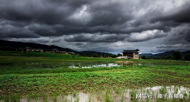 kaiyun网站：端午雨水藏预兆！下半年南旱北涝？这3类农人得早打算(图4)